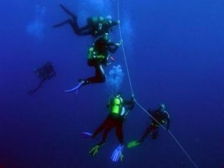Buceadores bajo el agua